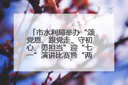 市水利局举办“颂党恩、跟党走、守初心、勇担当”迎“七一”演讲比赛暨“两优一先”表彰活动